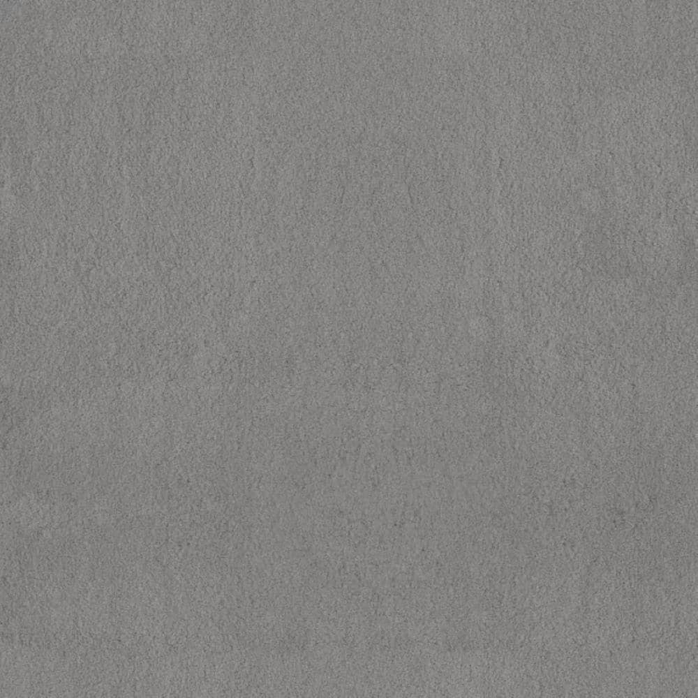 8 in. x 8 in. Texture Carpet Sample-Dreamy Daze II-Color Slate Stone price history on PriceWatchPro