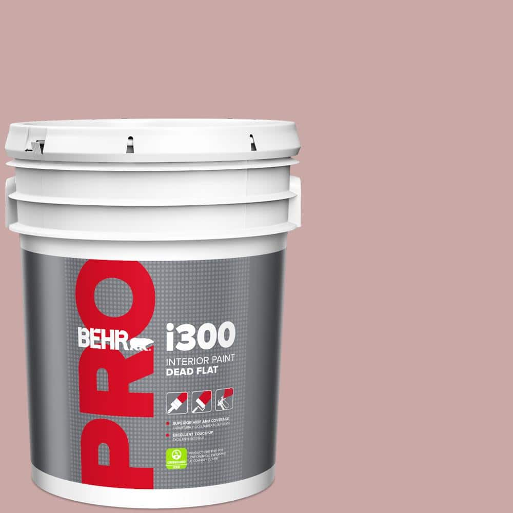 5 gal. #140E-3 Rose Bisque Dead Flat Interior Paint -  BEHR PRO, ZZ146214