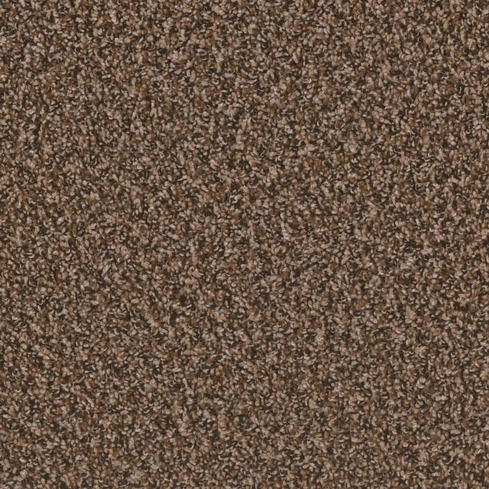 8 in. x  8 in. Texture Carpet Sample - Dream Wish -Color Strive price history on PriceWatchPro