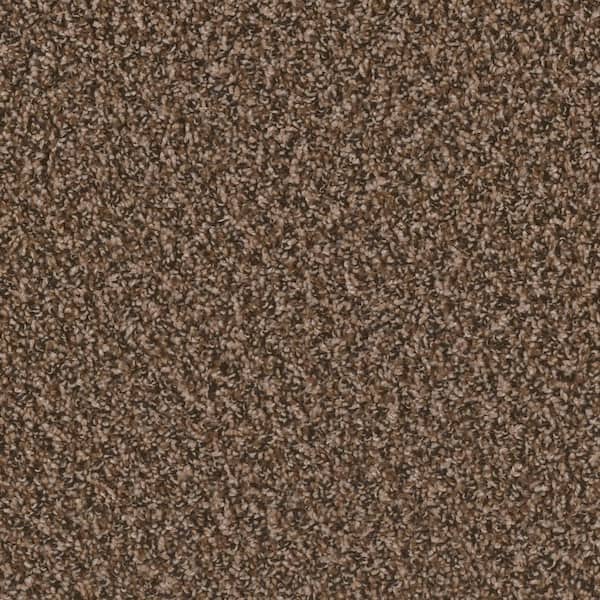 TrafficMaster 8 in. x  8 in. Texture Carpet Sample - Dream Wish -Color Strive