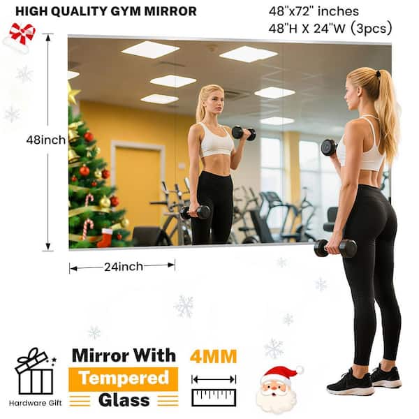 3-Pieces 24 in. W x 48 in. H Modern Rectangle Frameless Wall-Mounted Dance Mirror Garage Gym Mirror