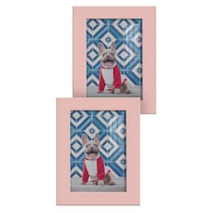 Modern 3.5 in. x 5 in. Pink Picture Frame (Set of 2)