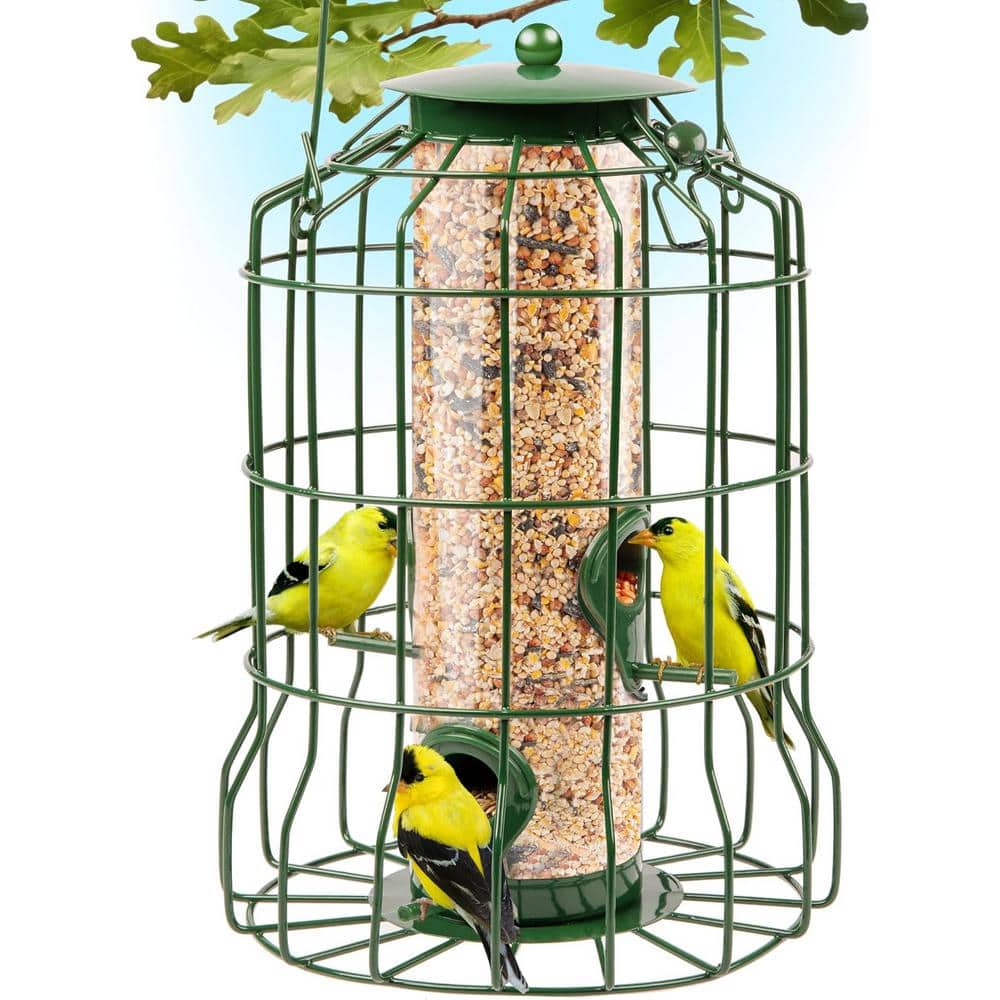 Green Wild Bird Feeders Squirrel Proof with 1.25 lbs. Capacity and 40-Ports for Small Birds Outdoor price history on PriceWatchPro