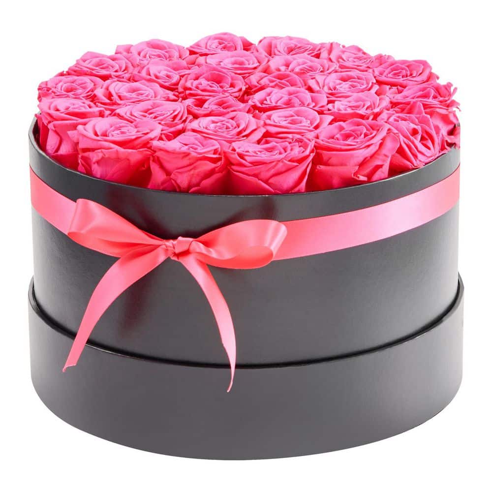 27 Preserved Roses in a Box, 5.51 in. Pink Indoor Artificial Rose in Black Basket Container, Long-Lasting Floral price history on PriceWatchPro