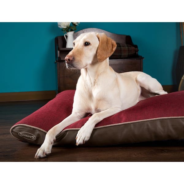 SCRUFFS Hilton Medium Burgundy Memory Foam Polyester Dog Mattress BED