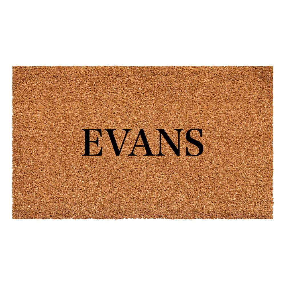 Bold Evans Multi-Colored 17 in. x 29 in. Indoor or Outdoor Doormat price history on PriceWatchPro