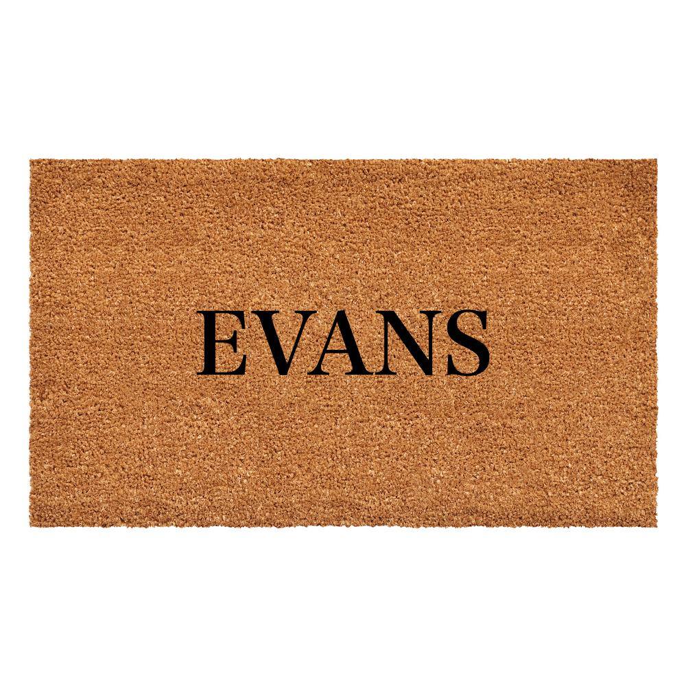 Bold Evans Multi-Colored 36 in. x 72 in. Indoor or Outdoor Doormat price history on PriceWatchPro