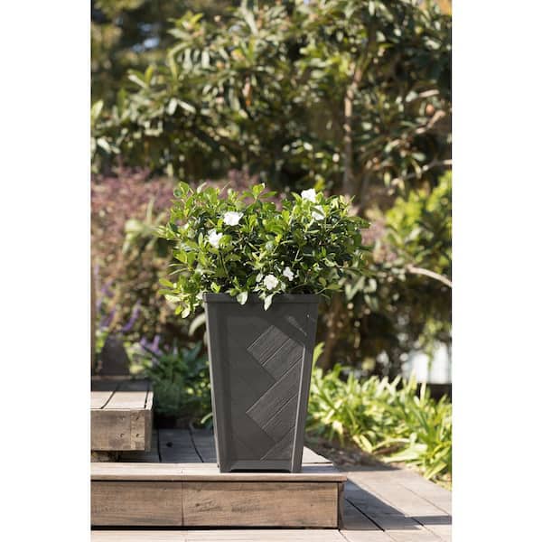 Keter Tesoro 14 in. L x 14 in. W x 22 in. H 51 qts. Black Indoor