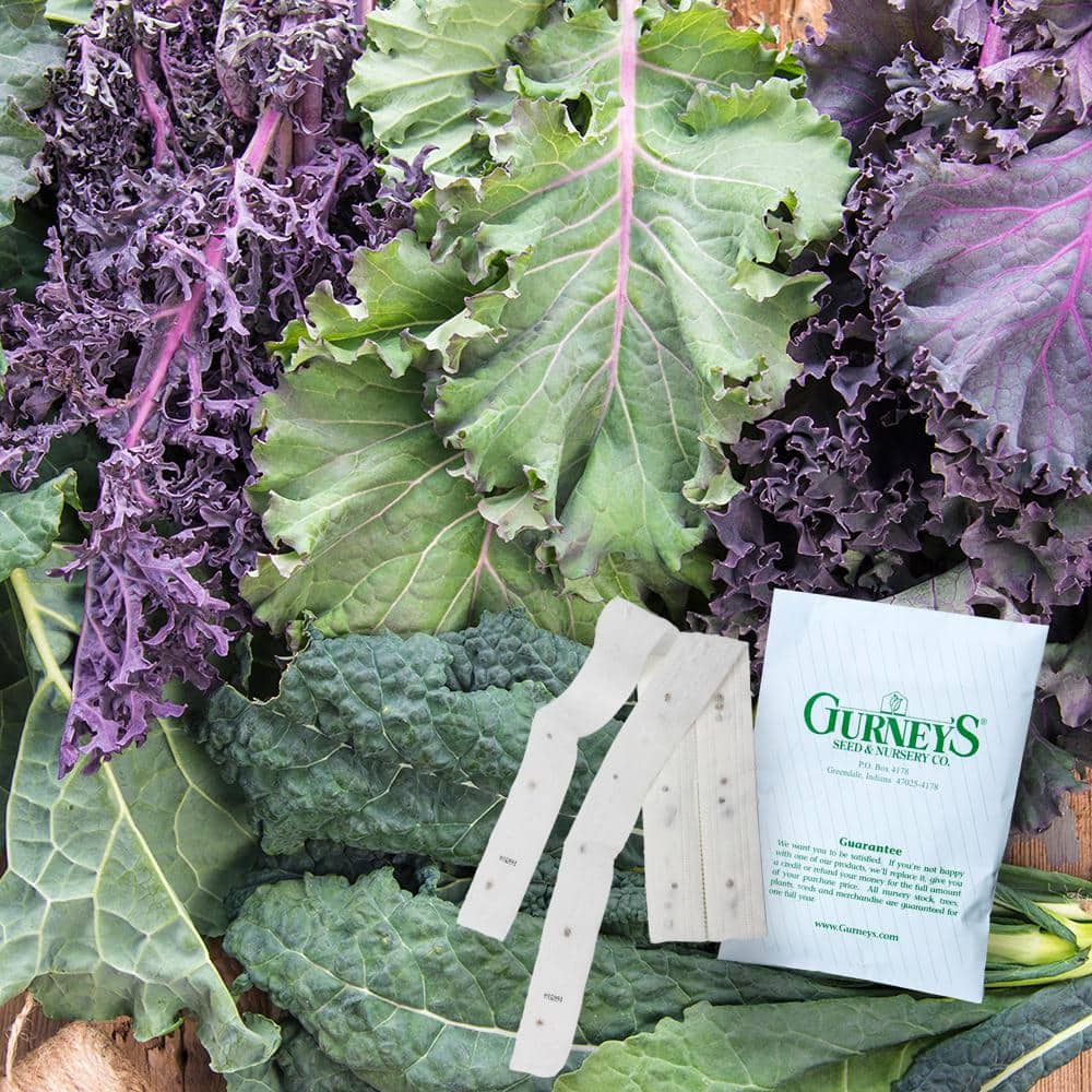 Kale Winter Wonderland Mixtur 15 ft. Seed Tape price history on PriceWatchPro