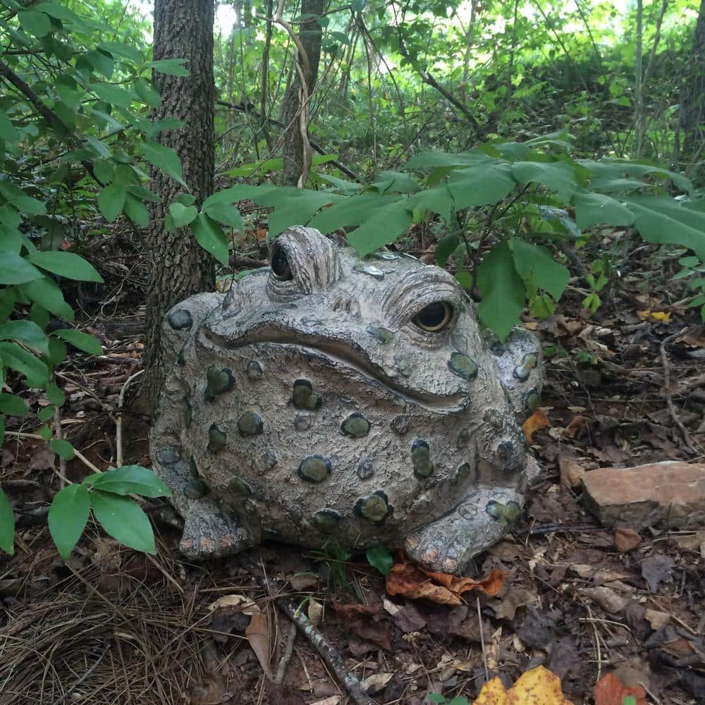Natural Brown Jumbo Toad Garden Statue with Whimsical Glass Eyes