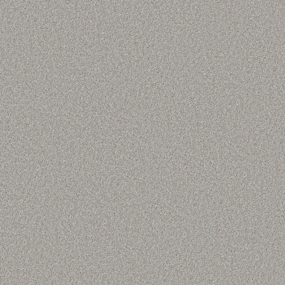 8 in. x 8 in. Texture Carpet Sample - Gifted Moments I - Color Autumn Ash price history on PriceWatchPro