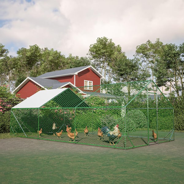 VidaXL Outdoor Chicken Coop 3x8x2 M Galvanised Steel | .au