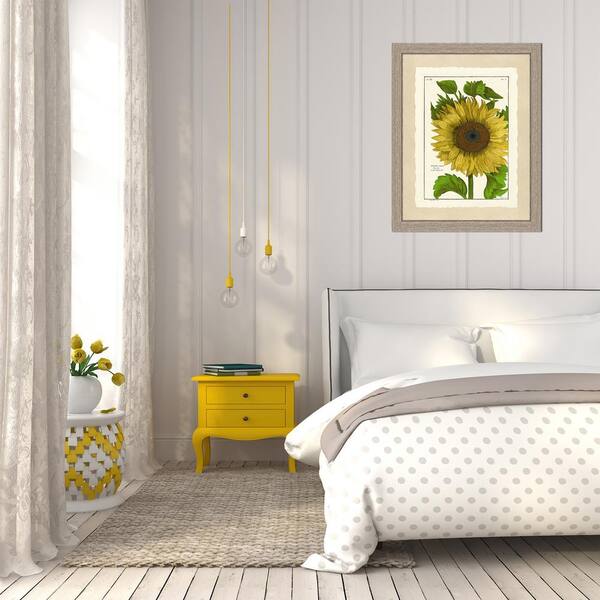 Vintage Print Gallery Sunflower Framed Archival Paper Wall Art (20