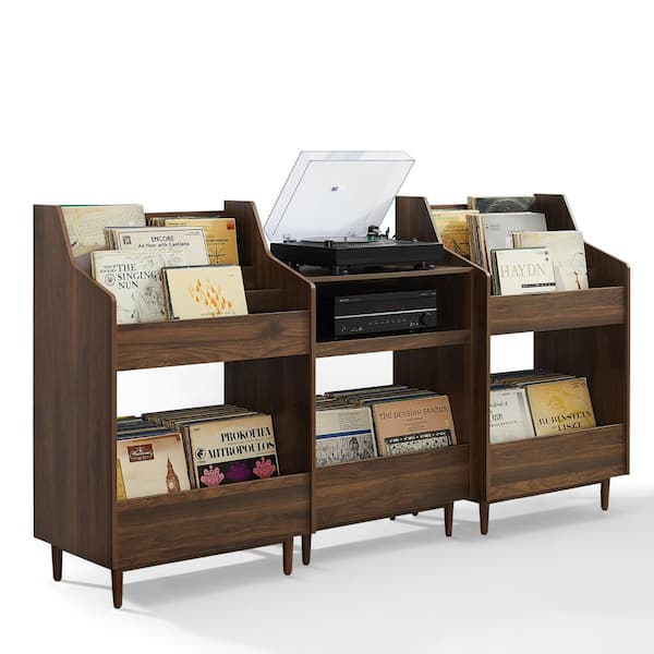 Liam Large Record Storage Console Cabinet - Shop Liam