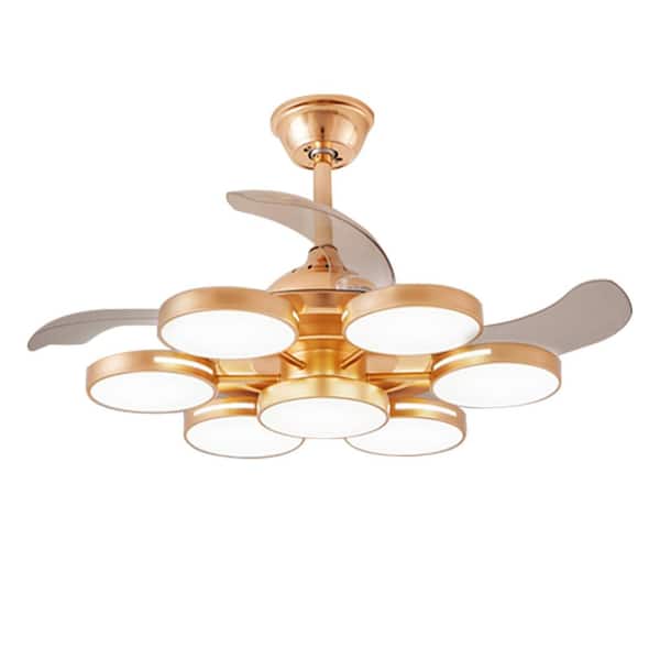 42-Inch Ceiling Fans With Lights: Black 3 Blade Flush Mount Low