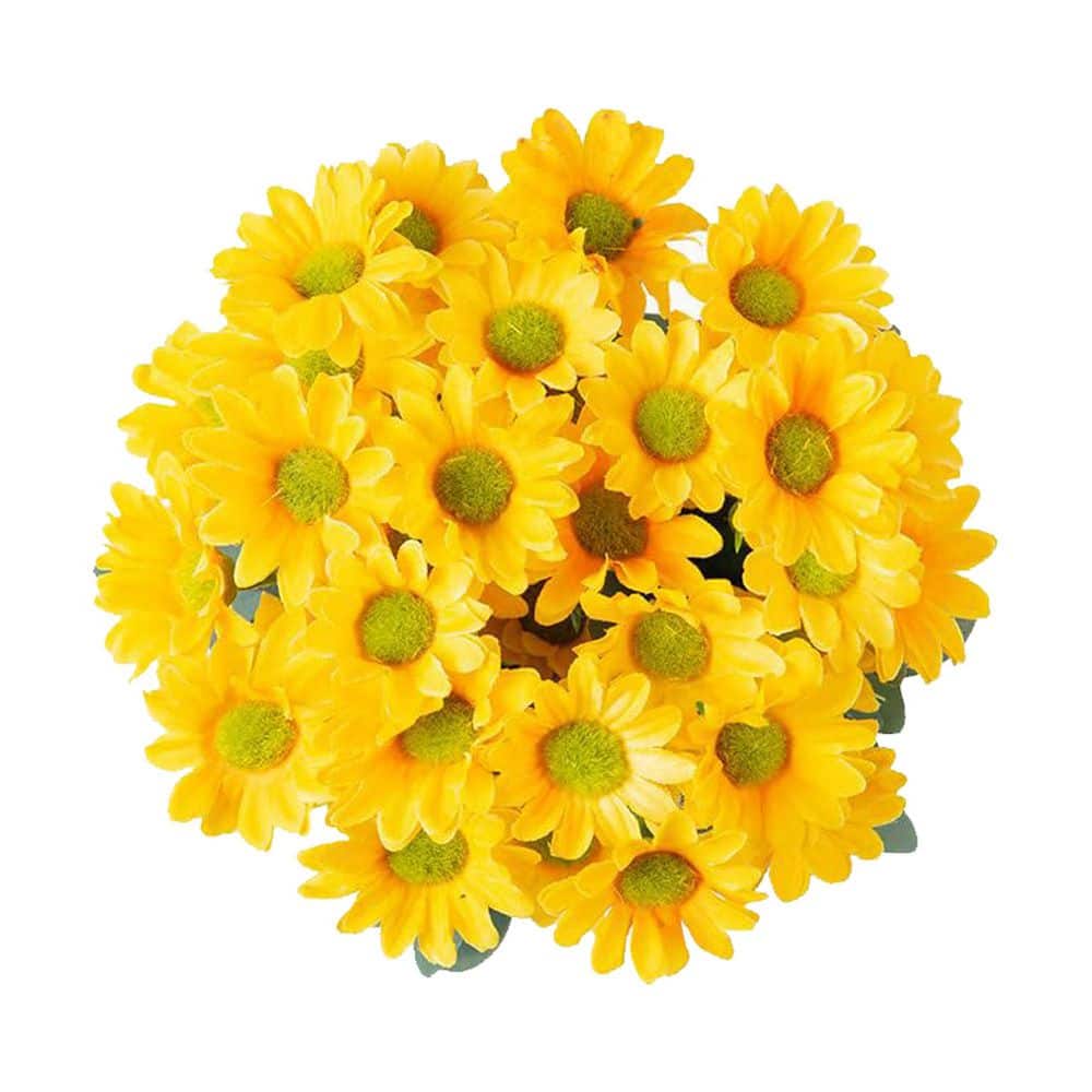 daisy Sizzix Thinlits Die Set 8PK - Daisy Flower Mix – Sizzix.com