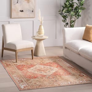 Rust 4 ft. x 6 ft. Dianna Cotton-Blend Distressed Medallion Area Rug
