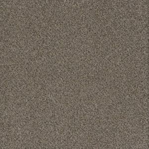 Serene Glory III-Quiet Brown-65 oz. SD Polyester Texture Installed Carpet