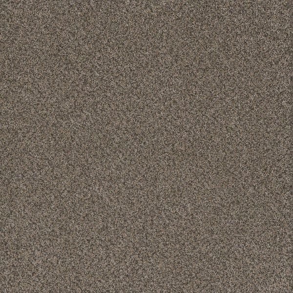 Serene Glory III-Quiet Brown-65 oz. SD Polyester Texture Carpet - Installation Required