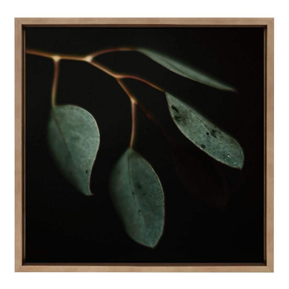 "Sylvie ""Eucalyptus Leaves in. by Alicia Abla Plants Framed Art Print 22 in. x 22 in." price history on PriceWatchPro