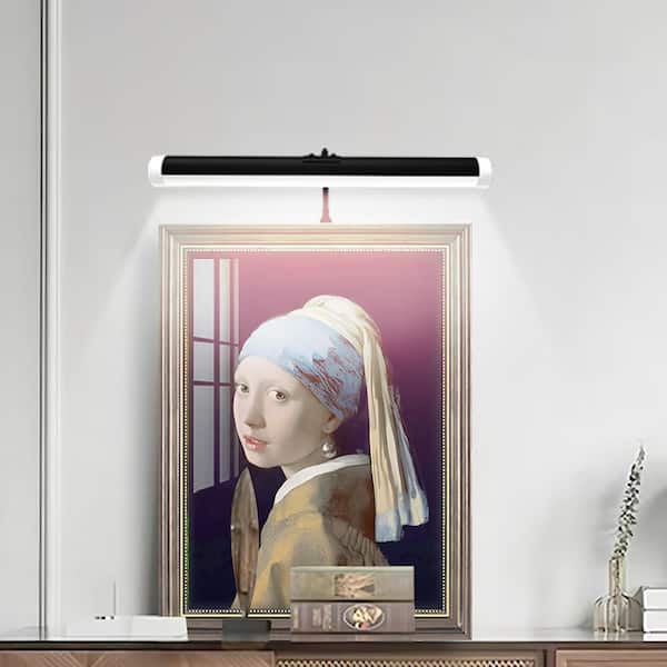 Black LED Wall Mounted Picture Light Fixture with Remote Control and Wireless Bluetooth