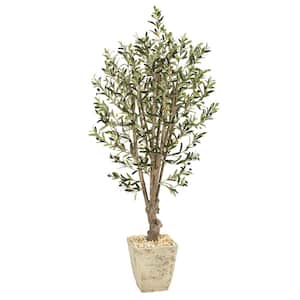 5 ft. Olive Artificial Tree in Country White Planter