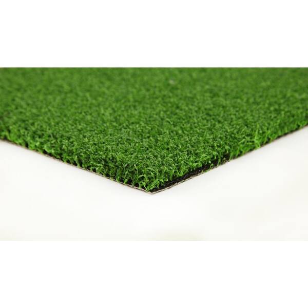 GREENLINE ARTIFICIAL GRASS Putting Green 15 ft. Wide x Cut to Length ...