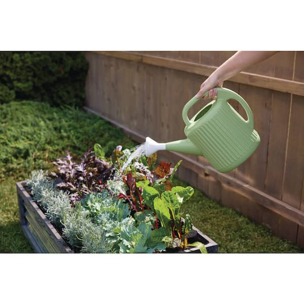 2 Gal. Green Modern Multi-Grip High Density Plastic Watering Can