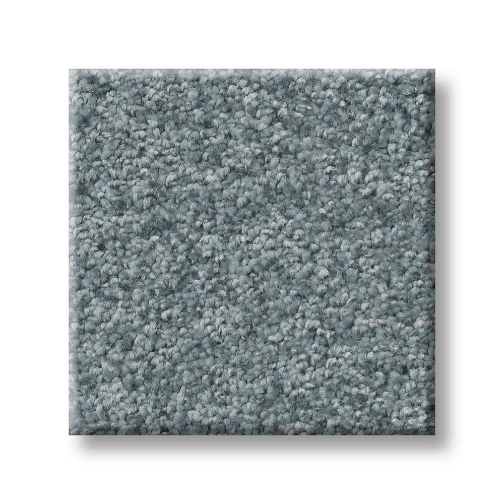 8 in. x 8 in. Texture Carpet Sample - Rosemary I -Color Arctic price history on PriceWatchPro