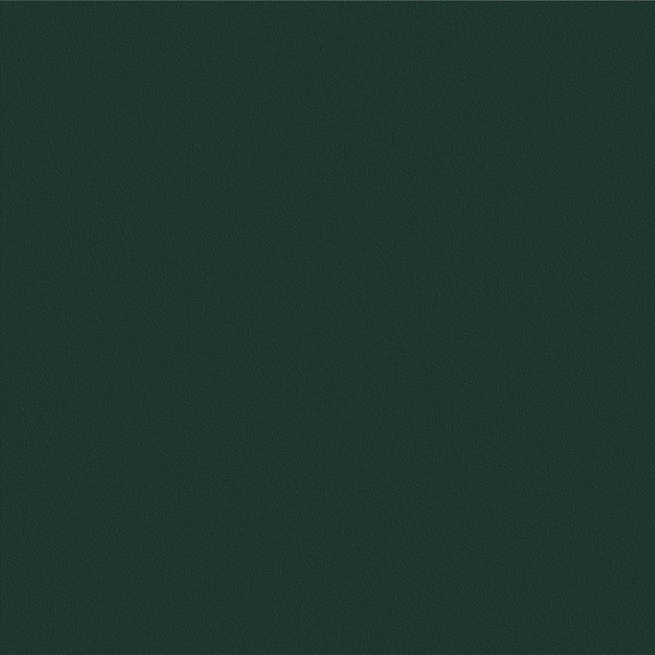 WeatherStrong Miami 13 in. W x 0.75 in. D x 13 in. H Green Cabinet Door Sample Emerald Green Matte