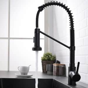 1-pieces  Bath Hardware Set Kitchen Faucet with Pull Out Sprayer with Mounting Hardware in Black