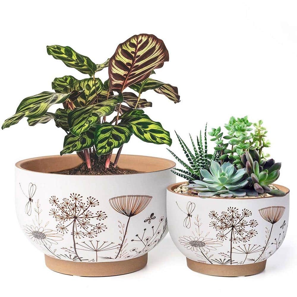 Modern Decorative Ceramic Plant Pots Outdoor Pots Set with Drainage Holes (