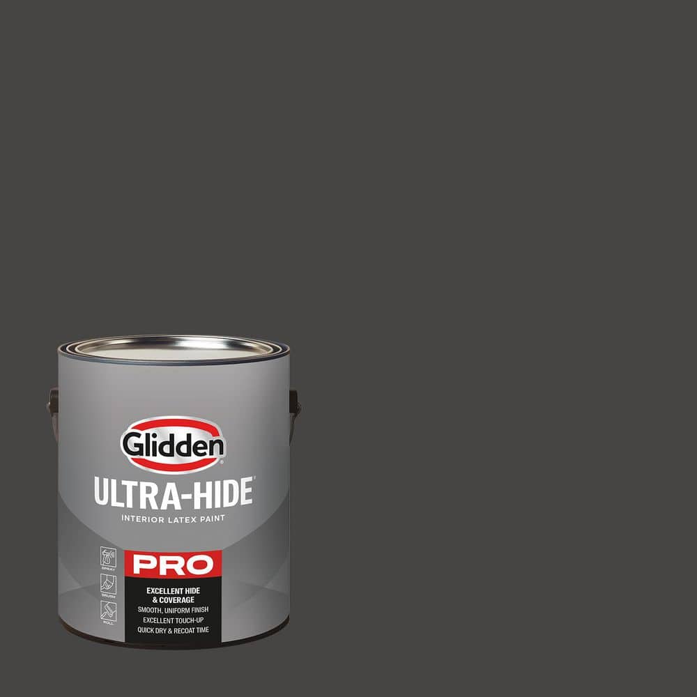1 gal. PPG1011-7 Onyx Semi-Gloss Interior Paint price history on PriceWatchPro