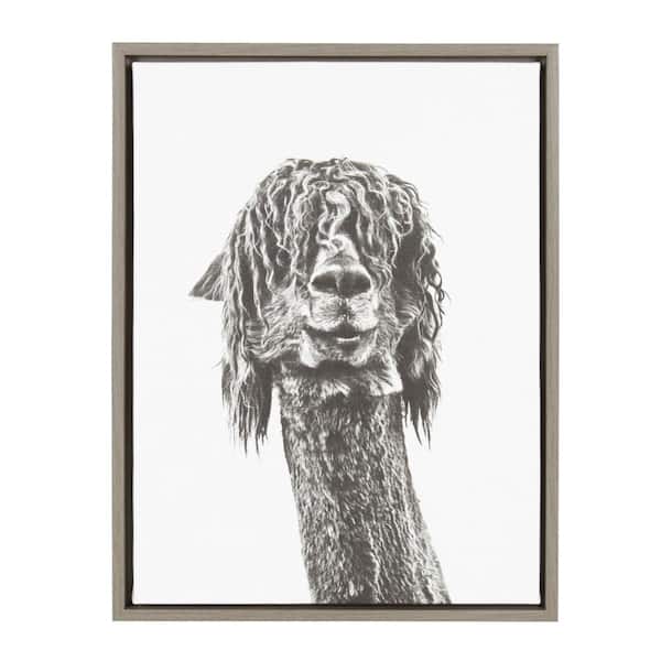 Kate and Laurel 24 in. x 18 in. "Brown Alpaca" by Tai Prints Framed Canvas Wall Art