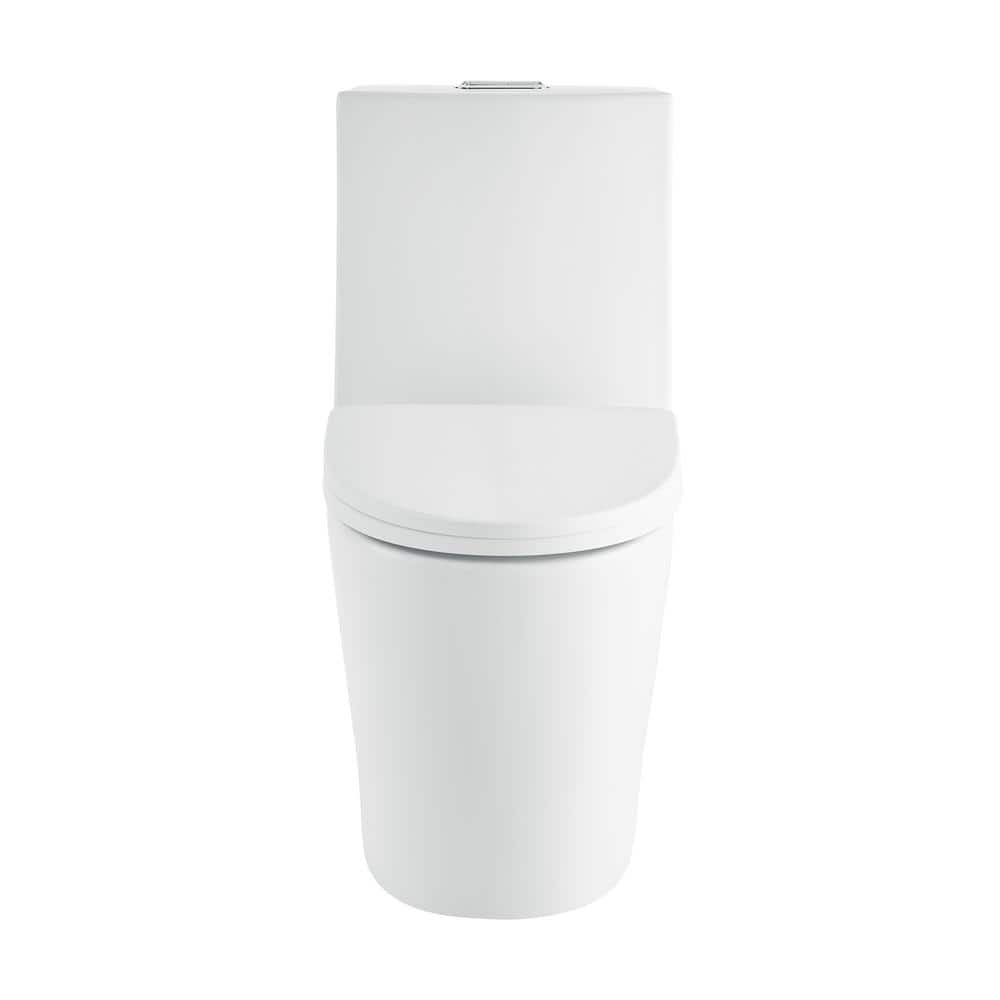 Matte White One-Piece Elongated Dual-Flush Toilet