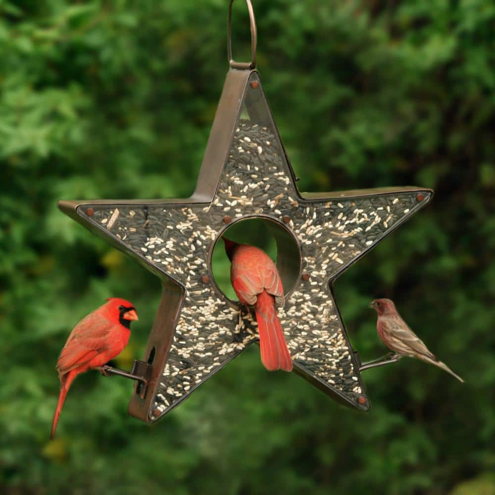 Copper Star-Shaped Hanging Bird Feeder with Plexiglass Panels