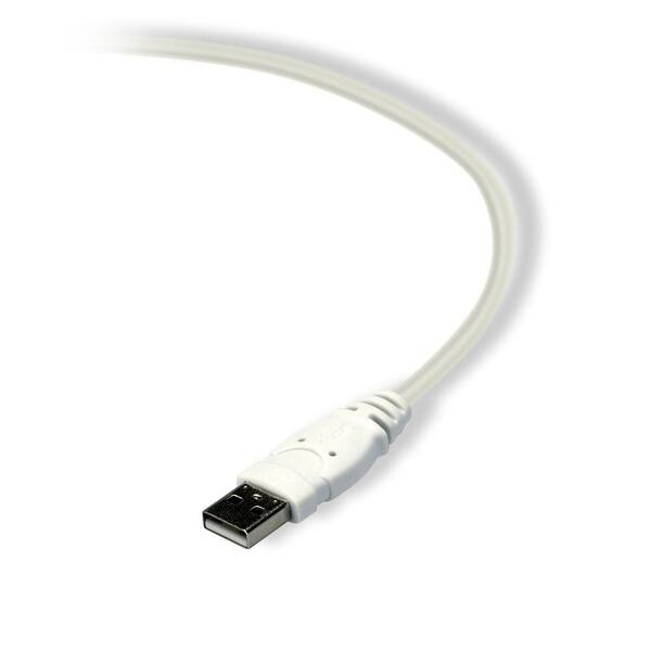 Belkin 10 ft. USB Device Cable