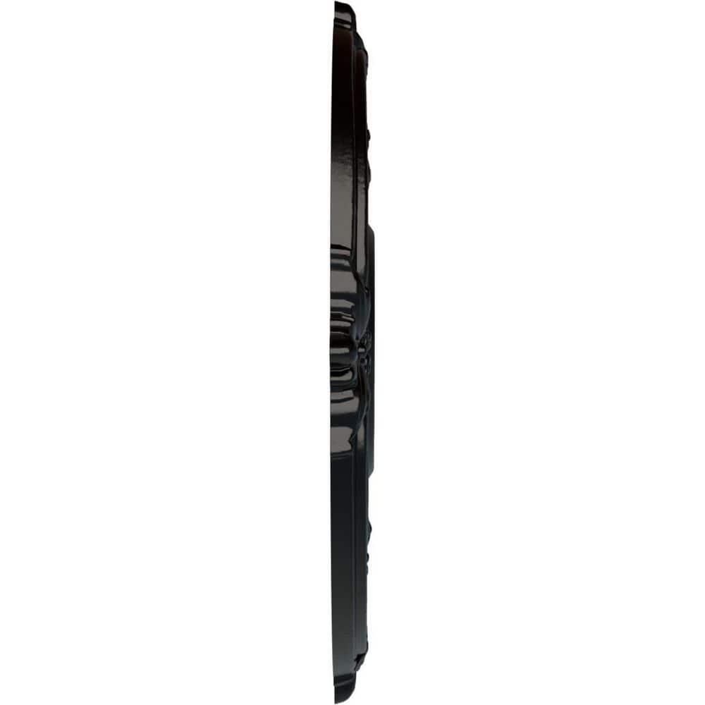 Jet Black Hand-Painted Urethane Ceiling Medallion, 18"