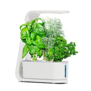 Sprout with Gourmet Herbs Seed Pod Kit - Hydroponic Indoor Garden, White
