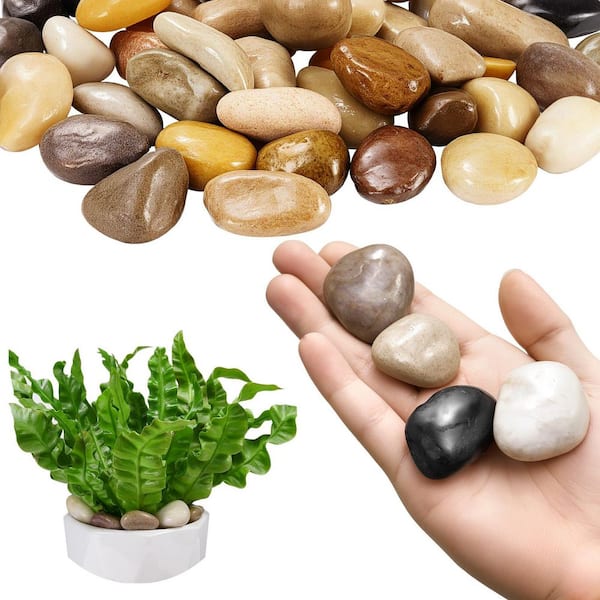 Natural River Rocks, 1-2 In. 15 lbs., Polished Multi-Color Pebbles for Garden, Pathways, Fish Tanks, Flower Pots