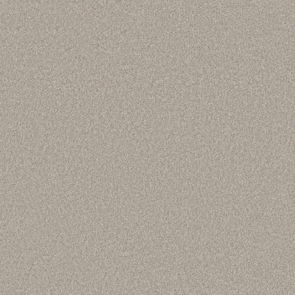 Lifeproof Rosemary III - Stark-Beige 12 ft. 66 oz. High Performance Polyester Texture Installed Carpet