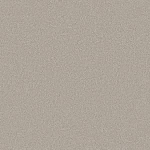 Rosemary I - Stark-Beige 12 ft. 42 oz. Polyester Texture Installed Carpet