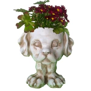 12 in. Antique White Muttley the Dog Muggly Planter Statue Holds 4 in. Pot