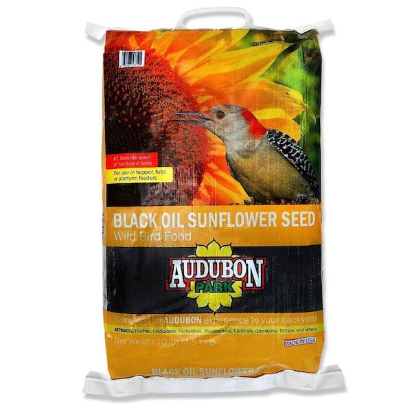 black oil sunflower seeds for birds home depot