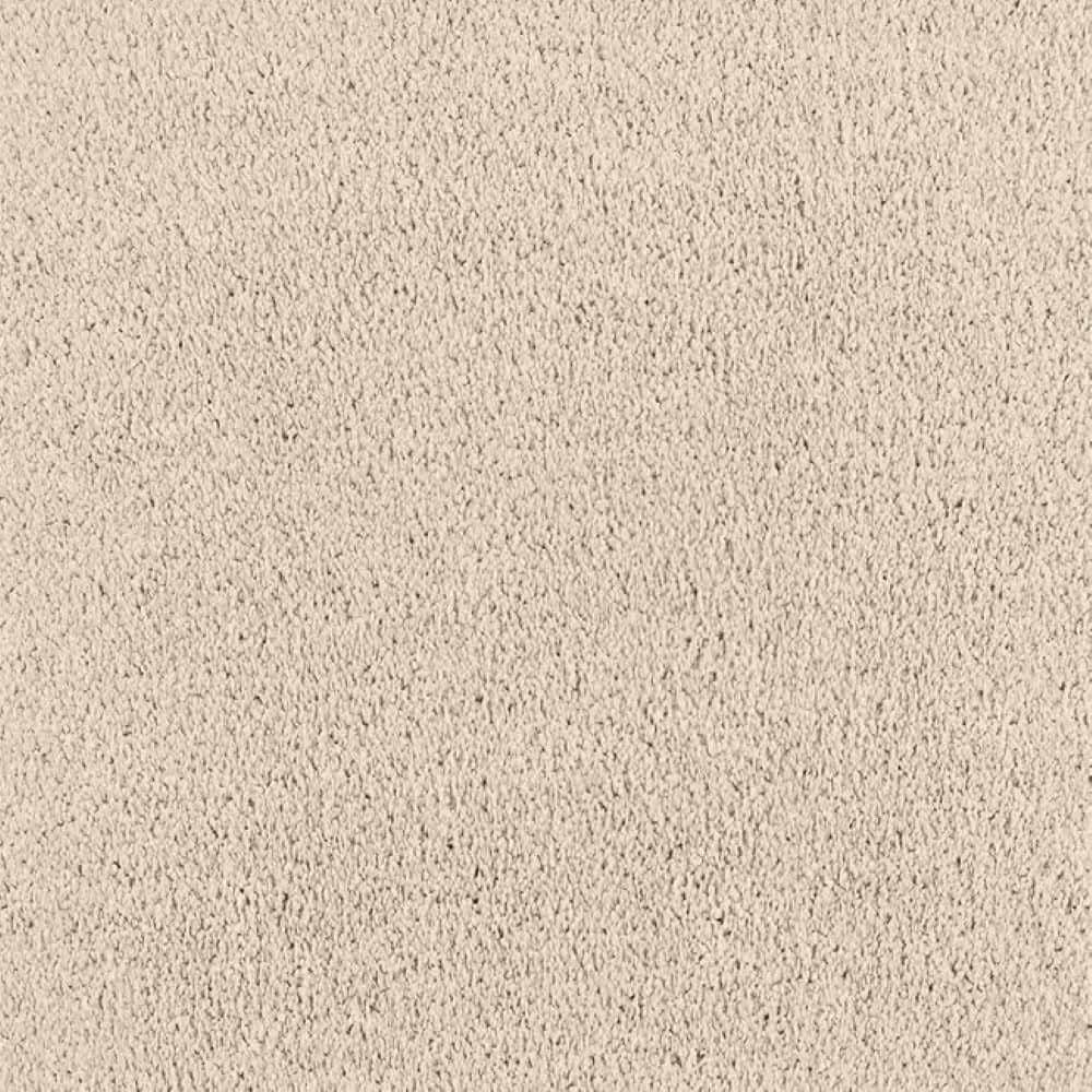 8 in. x 8 in. Texture Carpet Sample-Whisk & Whimsy I-Color Antique White price history on PriceWatchPro