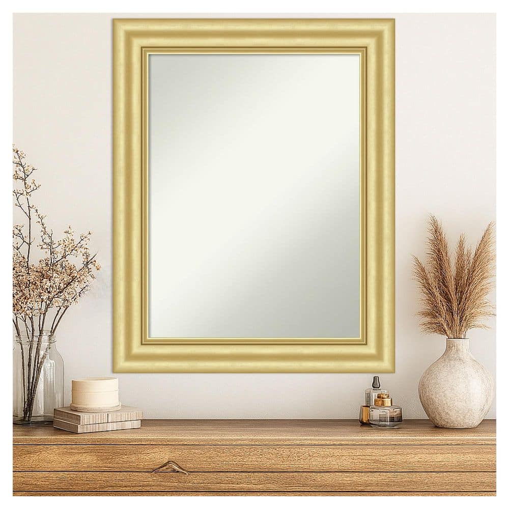 Sophia Gold 23.5 in. x 29.5 in. Non-Beveled Traditional Rectangle Framed Wall Mirror price history on PriceWatchPro