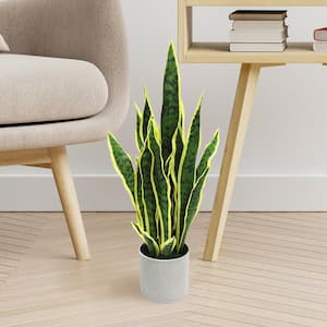 2 Set 28Inches Artifical Snake Plants, Fake Snake Plants with Wood Stand  and Pot, Faux Snake Plants Indoor Outdoor for Indoor Outdoor : :  Toys & Games