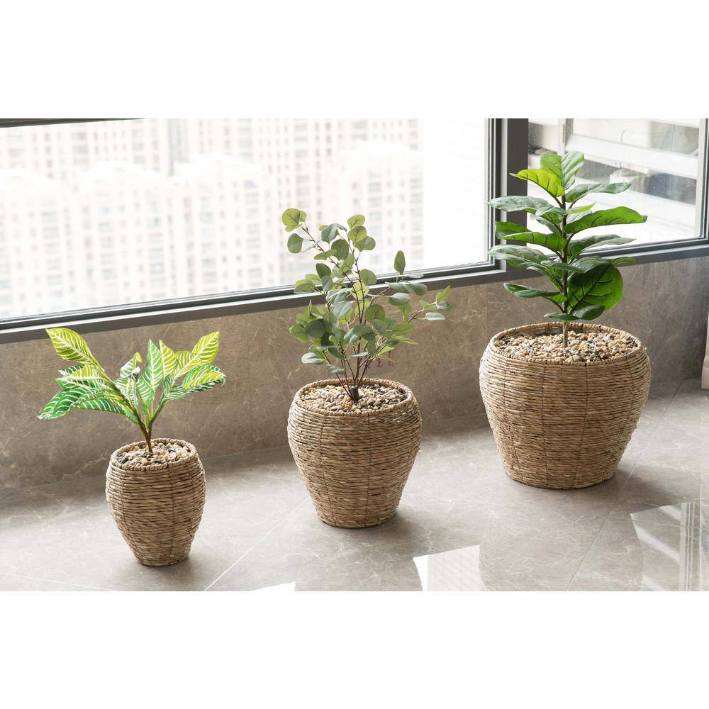Natural Woven Faux Potted Plants Set of Three