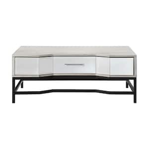 Gabby 48 in. White/Black Large Rectangle Wood Coffee Table with Drawers