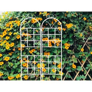 2- Piece 72 in. x 19.6 in. x 0.6 in. Cream White Outdoor Metal Garden Arch Plant Climbing Trellis for Wedding and Party